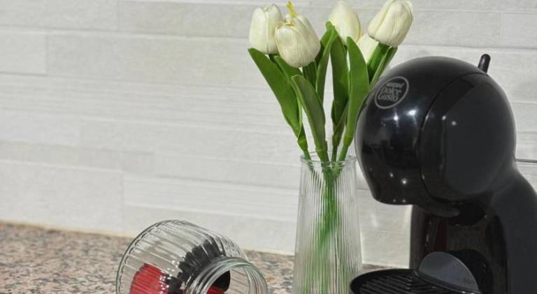 Rental apartment with garden — photo 4