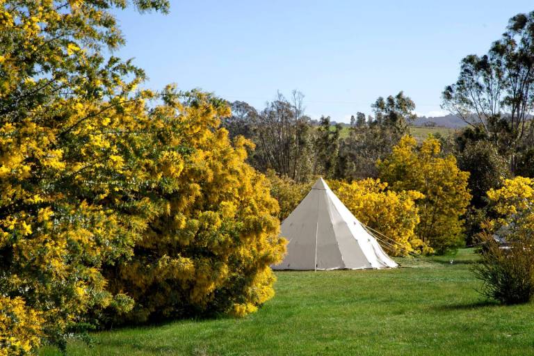 Camping  Clydesdale