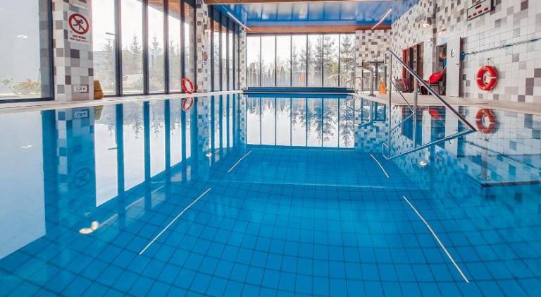 Holiday apartment with sauna, private pool & jacuzzi in Ustron