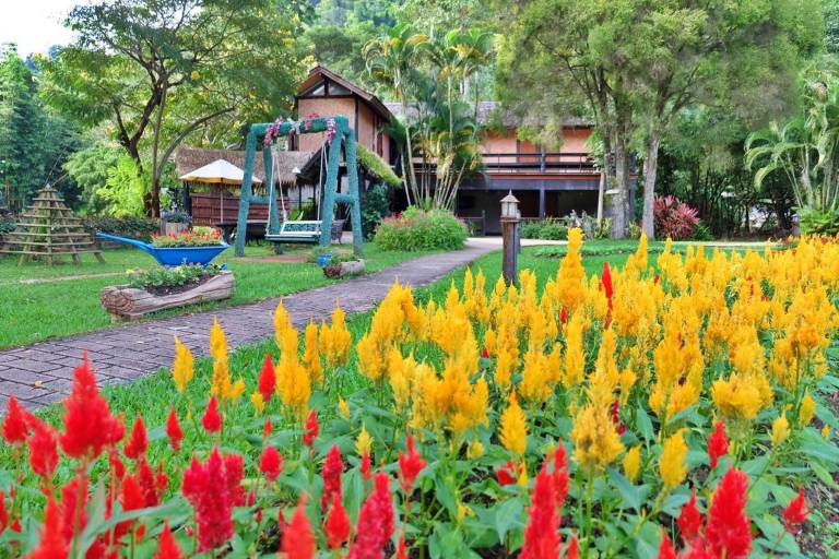 Phuingfah in Mae Rim