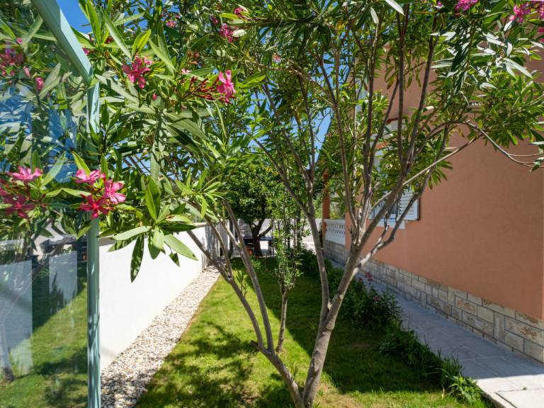 foto45