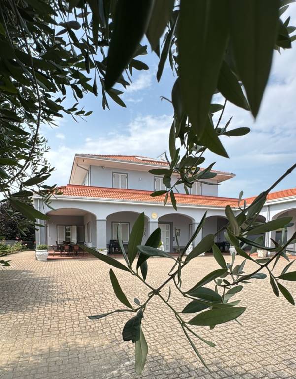 foto5