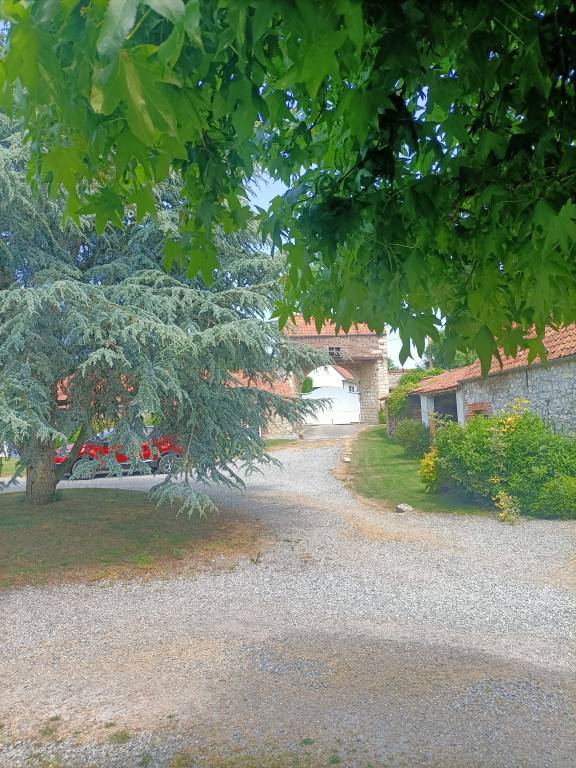 foto12