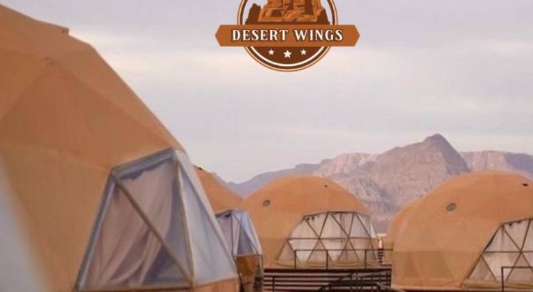 RUM WINGS BUBBLES lUXURY CAMP — photo 5
