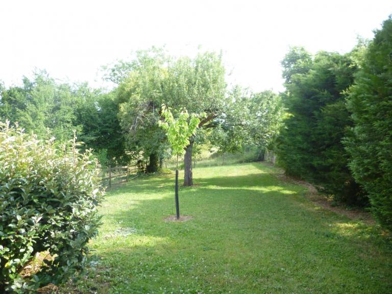 House with patio, yard & BBQ | Pets allowed — photo 5