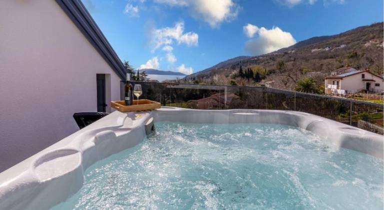 House with pool, jacuzzi & sauna — photo 3