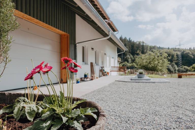 Ferienwohnung  Hergensweiler