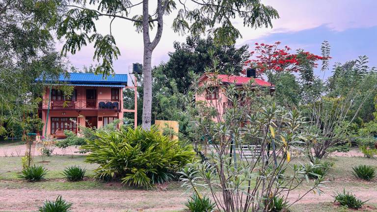 Bed and breakfast Masinagudi