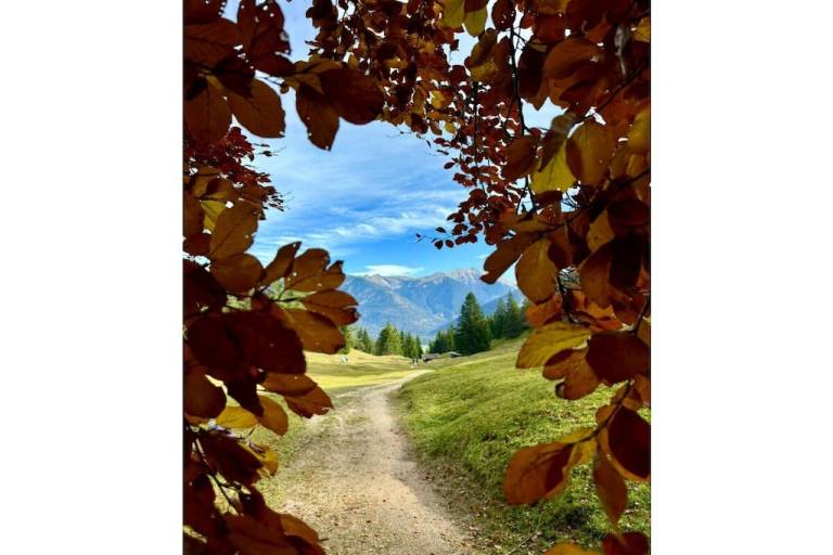 foto21