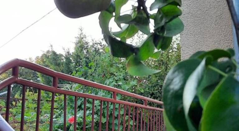 Rental apartment with 1 room for 4 persons — photo 5