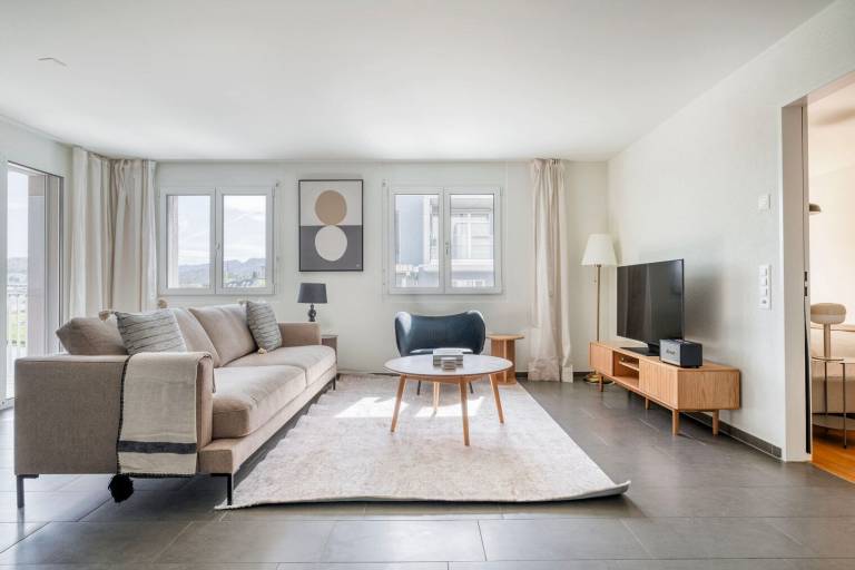 Apartment Wiedikon