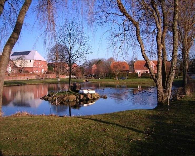 foto12