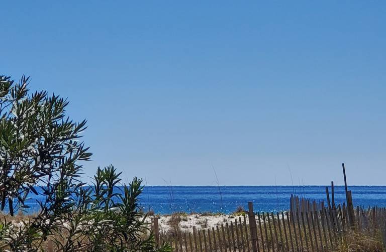 SouthBay by the Gulf 122 - Salty Paws — photo 2