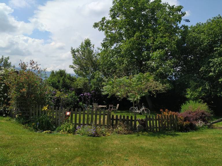 foto29