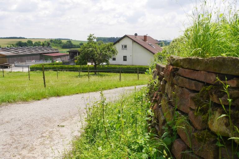 Ferienwohnung Mosbach