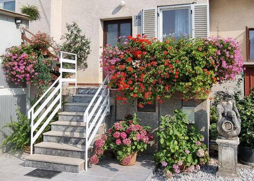 Apartma Šared