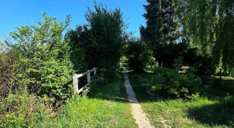 foto40