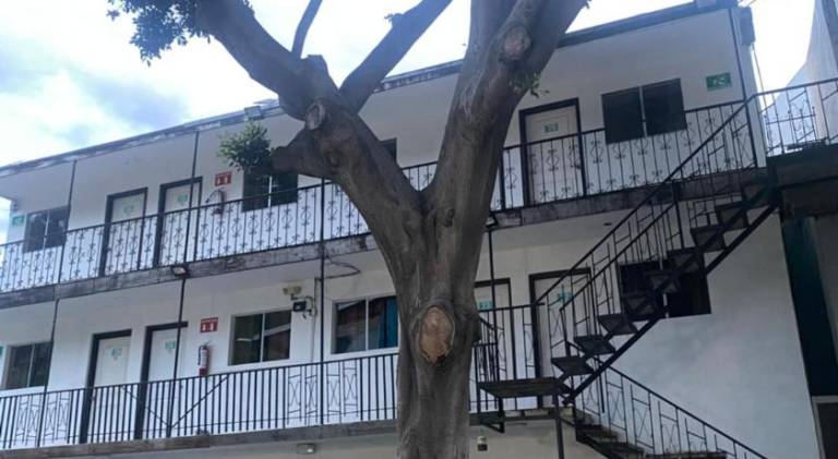 Hotel Del Bosque — photo 5