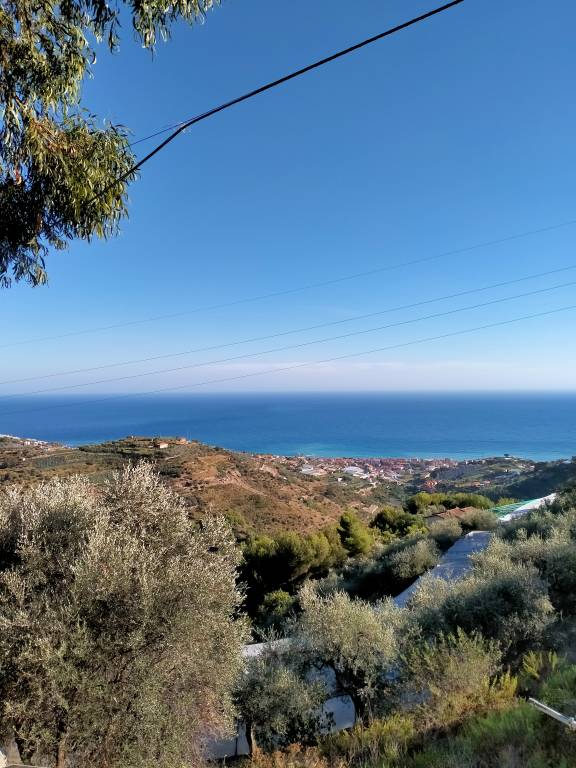foto2