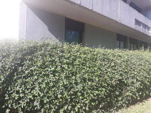 Appartement Montigny-le-Bretonneux
