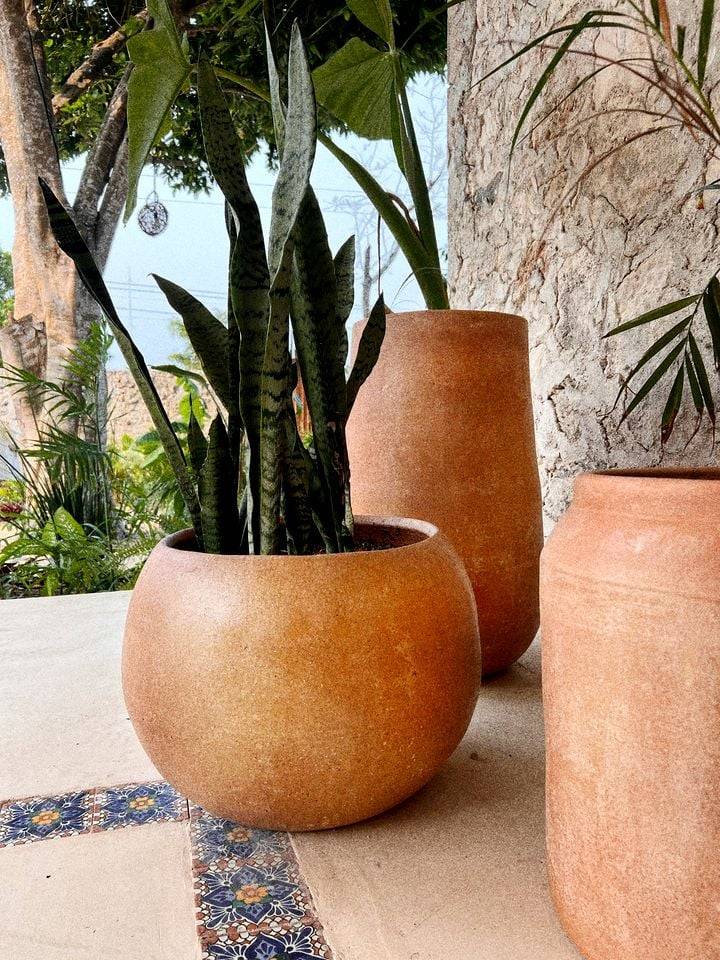 foto6