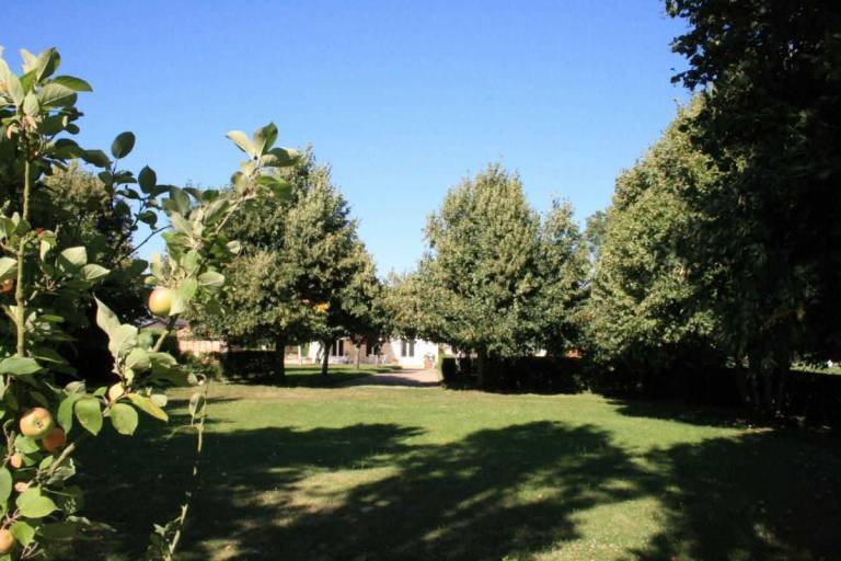 foto16