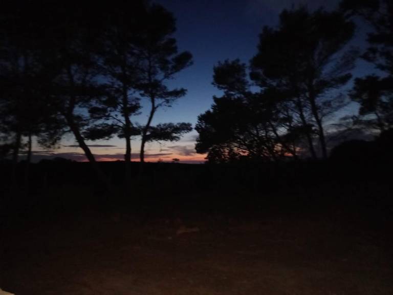 foto20