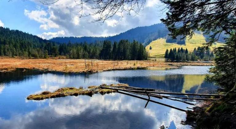 Entre Montagnes et Lacs — photo 5