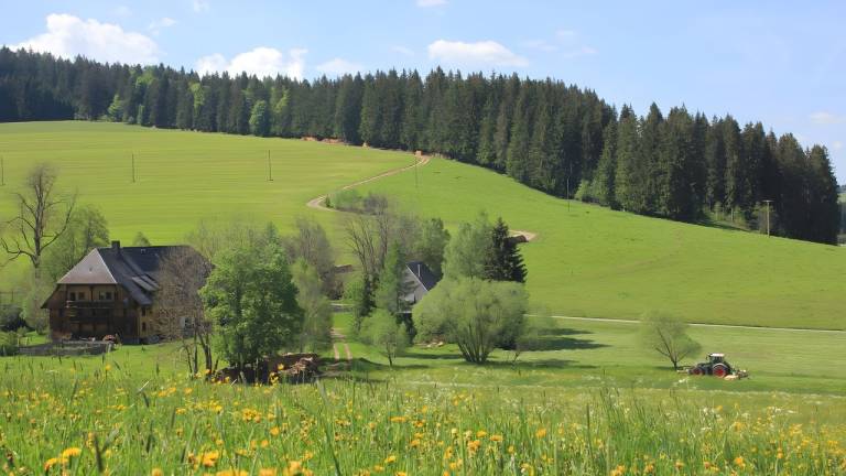 Ferienhaus Titisee-Neustadt