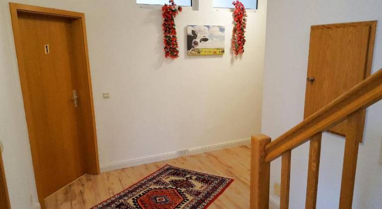 foto11