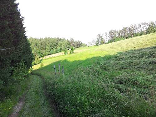 foto10