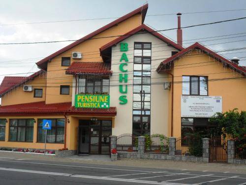 House  Piatra Neamț