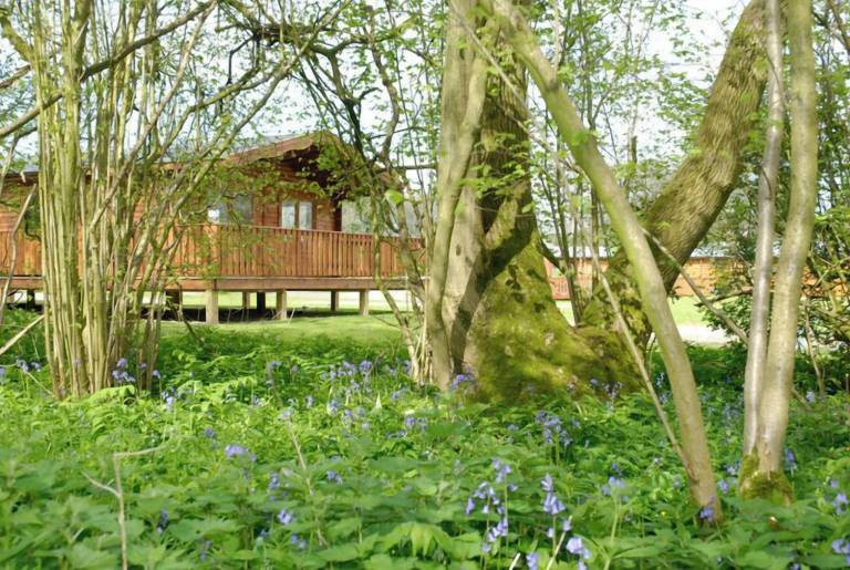 Lodge Pitt