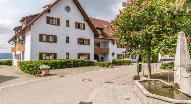 RH-Appartements 15 Minuten von Basel im Dorf Ruhrberg — photo 5