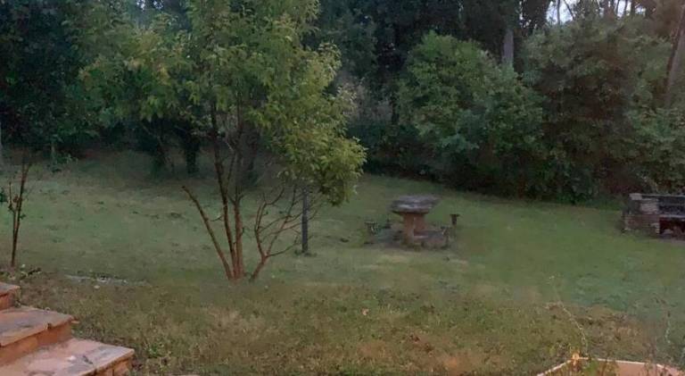 foto16