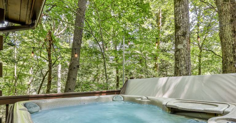 Cabin Ellijay