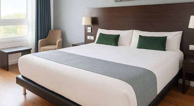 VTZ Hotel Plaza Espana in Zaragoza