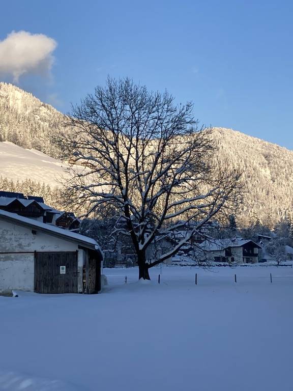 foto13