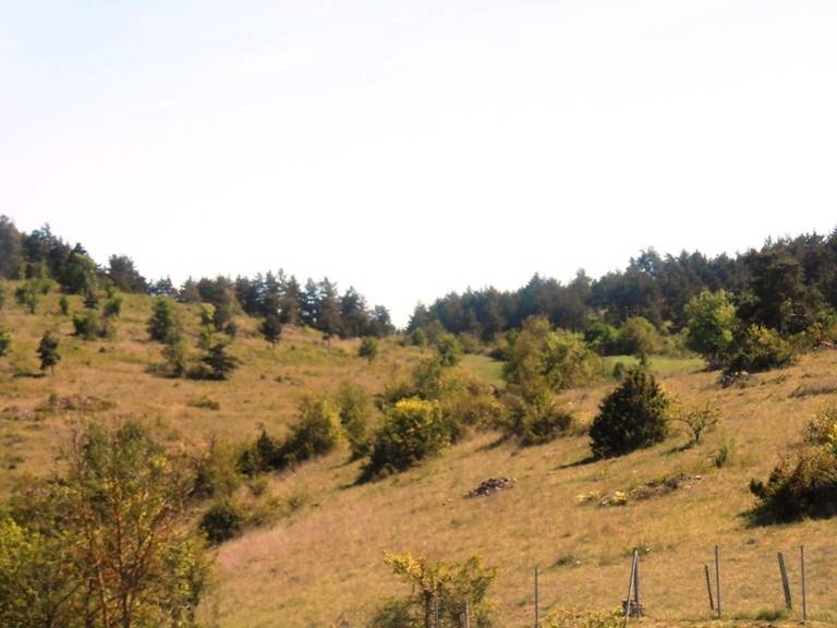 foto14