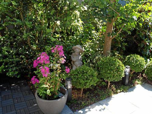 foto18