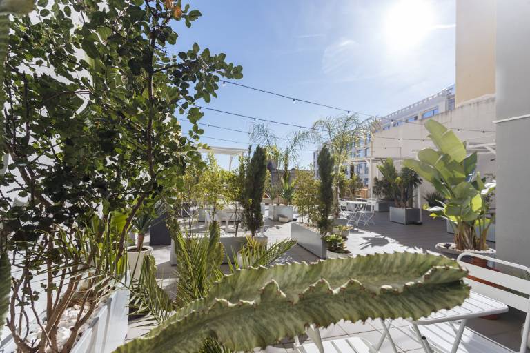 Apartment with terrace — photo 2