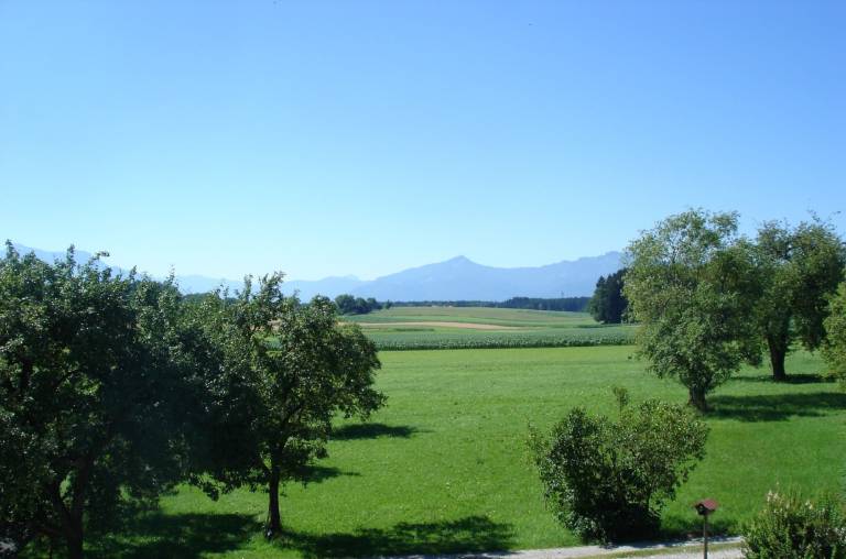 foto12