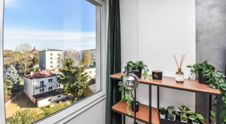 Apartment | Pet-friendly — photo 4