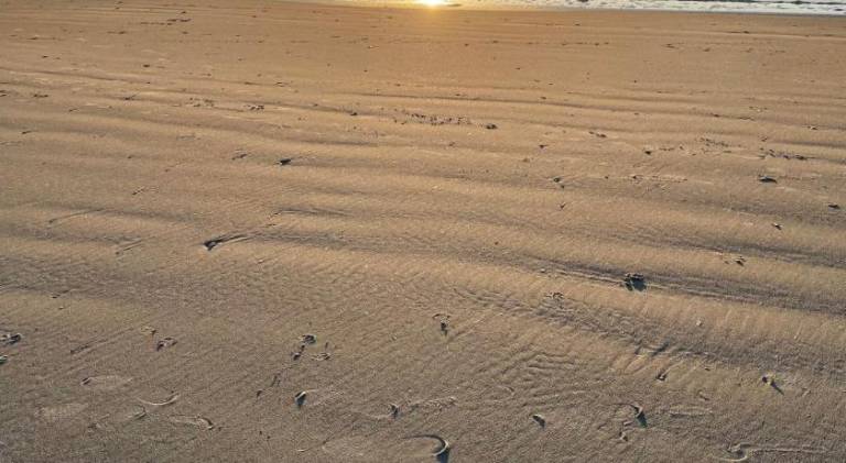Apartment | Beach nearby | Pets are welcome in Boulogne-sur-Mer