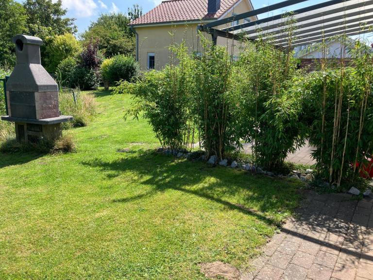 foto16
