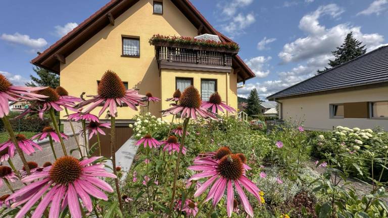 Ferienwohnung  Trusetal