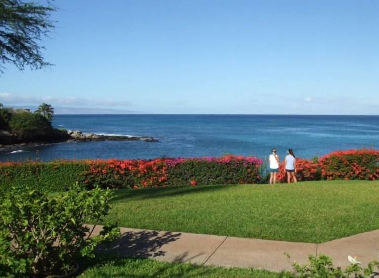 Condo Kapalua