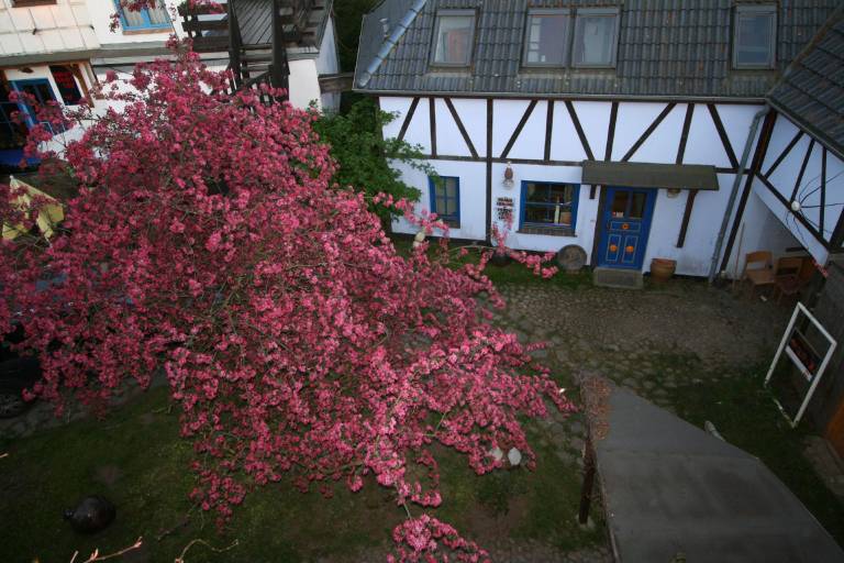Ferienwohnung  Hohenfelde