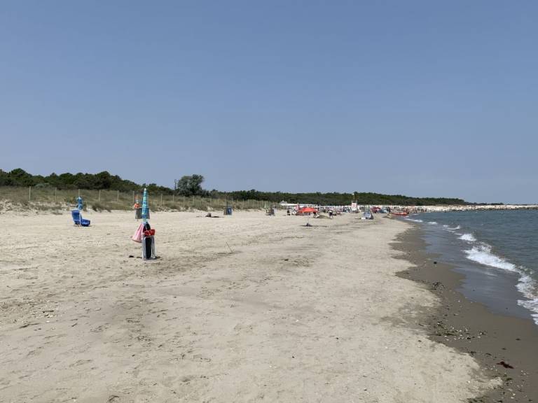 foto46