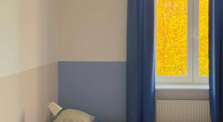 Holiday apartment | Pets are welcome — photo 4